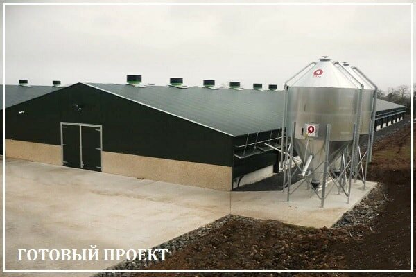 Этапы возведения птицефабрики от завода ВелесТент-кск